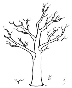 albero_2