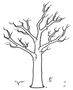 albero_1